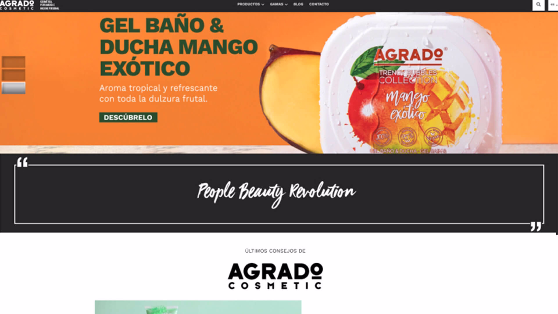 Agrado Cosmetic Diseño Anterior